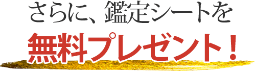 さらに、鑑定シートを無料プレゼント！